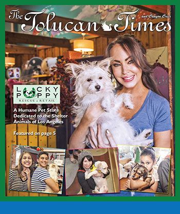 “Go to Your Happy Place” in 2014 … at Lucky Puppy Rescue & Retail